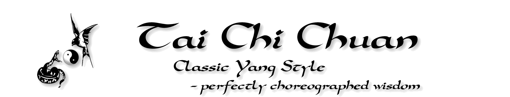 Tai Chi Yang Style