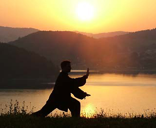 Tai Chi movements are rooted in the feet, released by the legs, directed by the waist and manifests in the arms and hands.